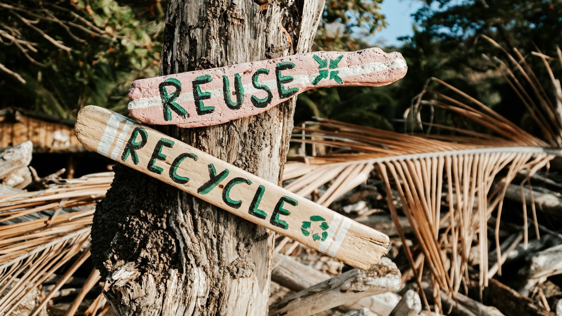 Twee houten bordjes met de woorden "Reuse" en "Recycle" benadrukken het verschil tussen circulair vs recyclebaar.